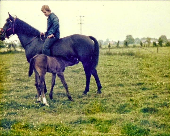 Familienunterstützender Dienst – Bild 5