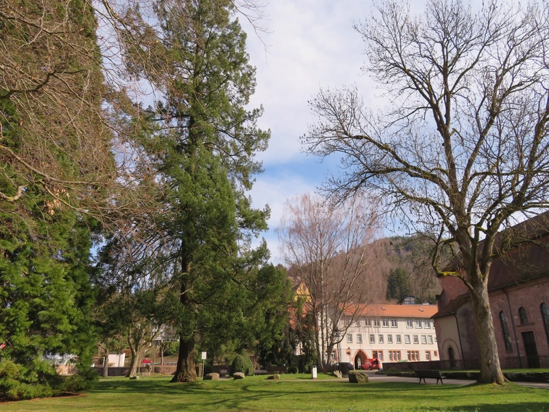 Sozial- und Diakoniestation Bad Herrenalb und Dobel – Bild 1