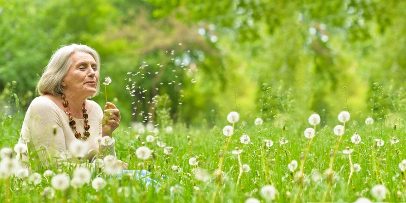 Pflegedienst Meiners – Bild 1