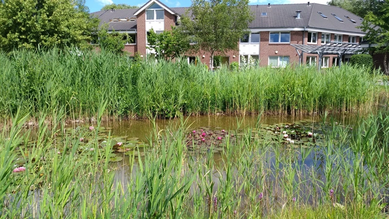 Wohnpark Am Deich – Bild 4