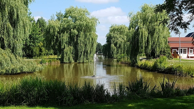 Haus am Bürgerpark – Bild 3