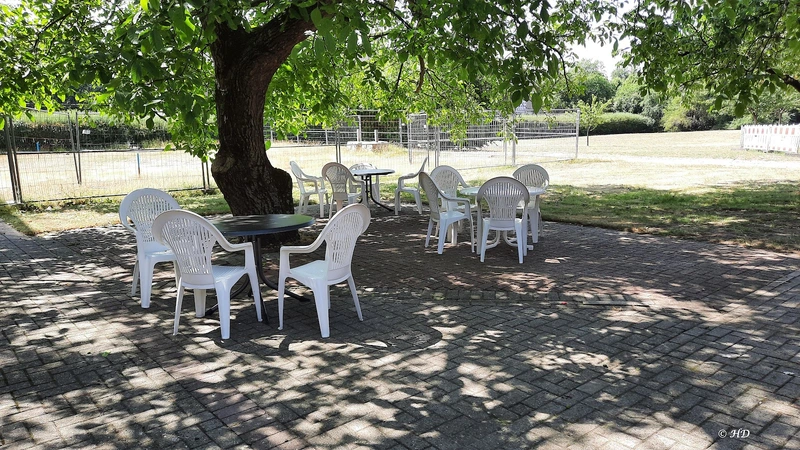 Seniorenzentrum Brake – Bild 5