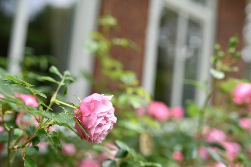 Tagespflege "Blome Hof" – Bild 4