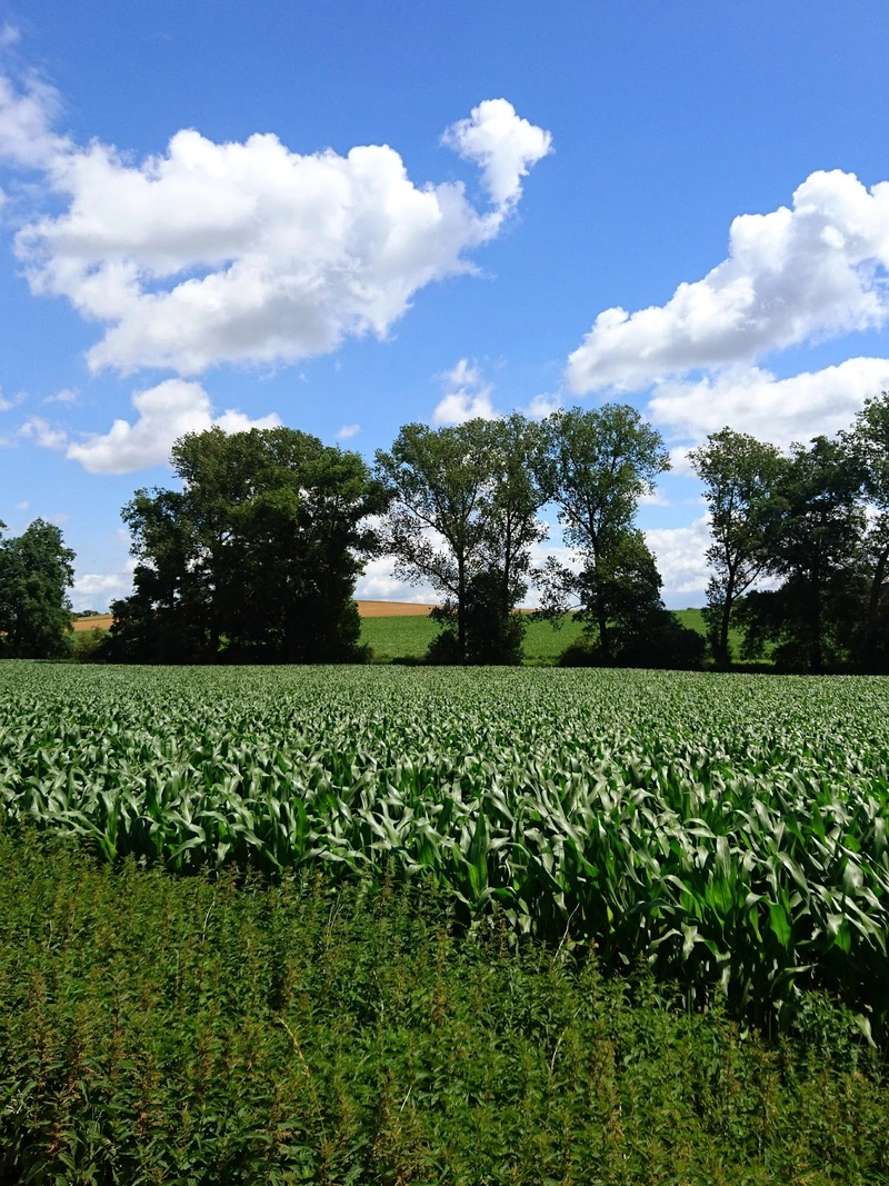 Gut Retzen Therapie und Pflegeeinrichtung – Bild 3