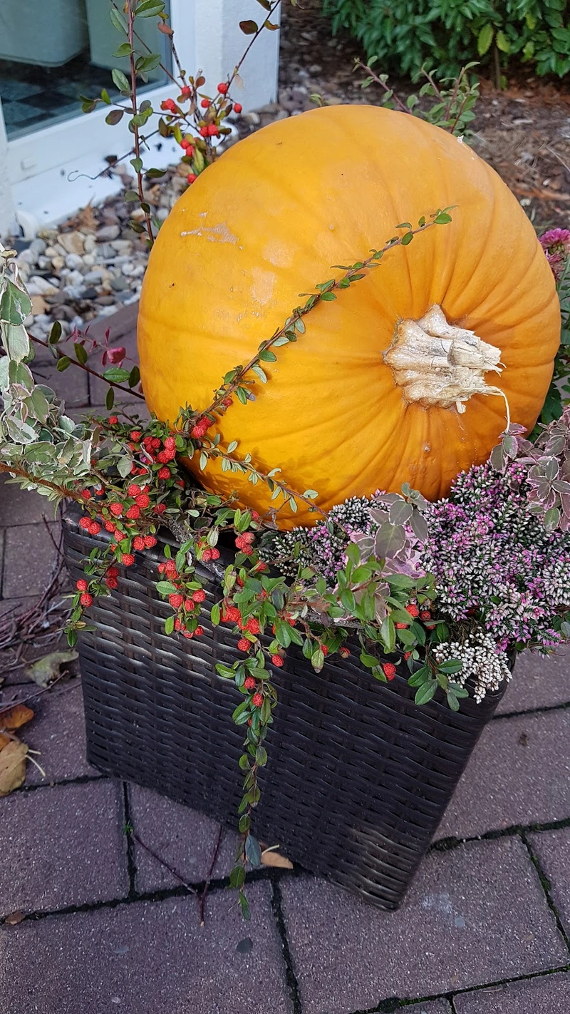 Haus im Garten Scheeßel – Bild 5