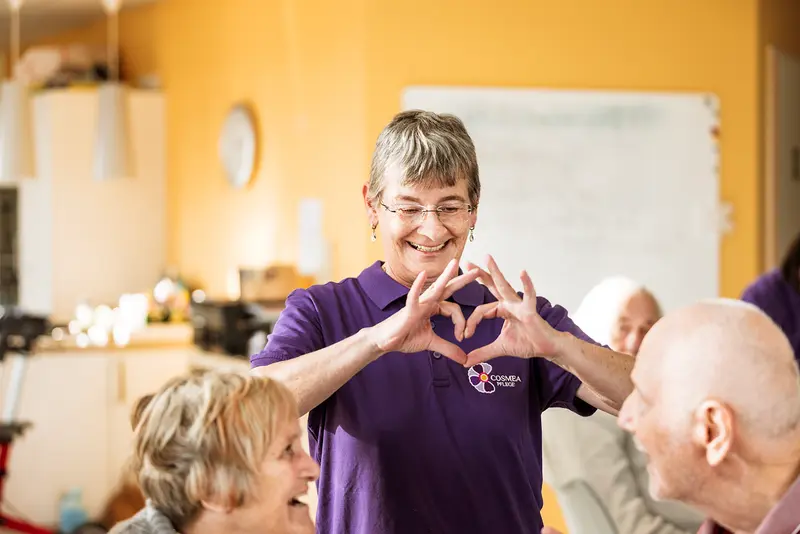 Cosmea Pflege Untersteinach – Bild 2