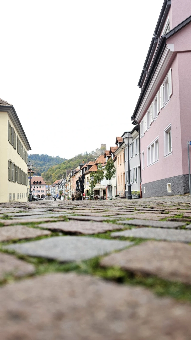 Hauswirtschaftliche Dienste Stedingen – Bild 2