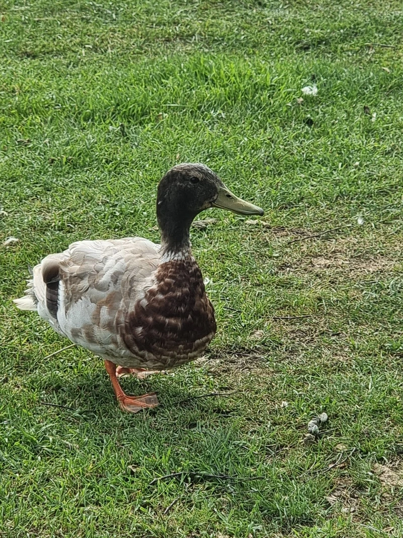 AWO Wohnpark Lemwerder – Bild 3