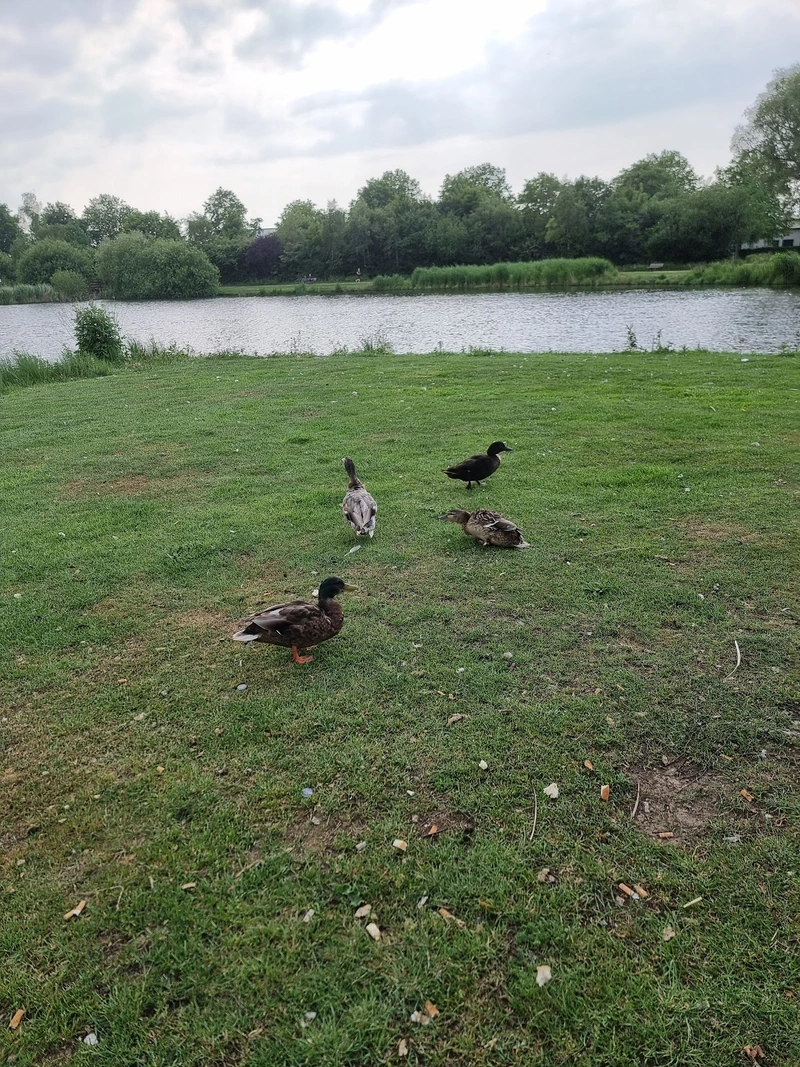 AWO Wohnpark Lemwerder – Bild 5