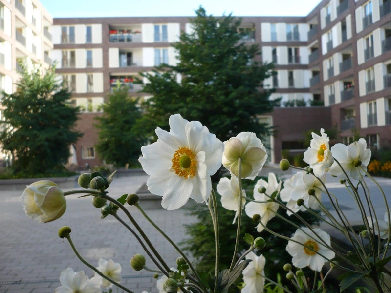 DKV-Residenz in der Contrescarpe - Tagespflege – Bild 2