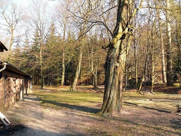 Waldhaus Lübberstedt – Bild 2