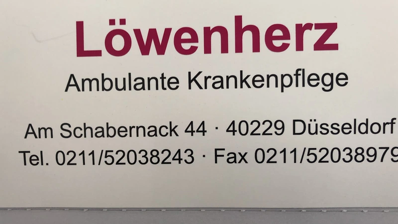 Krankenpflege Löwenherz – Bild 1
