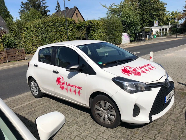 Krankenpflege Löwenherz – Bild 4