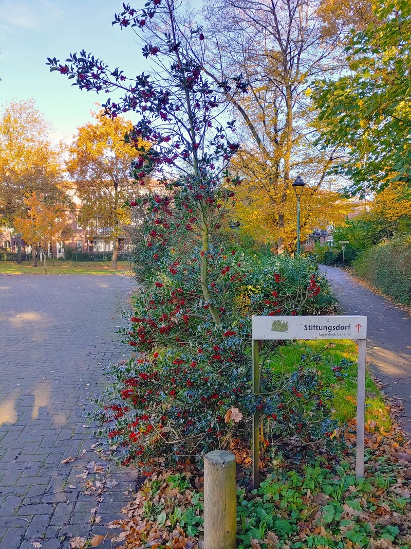 Stadtteilhaus Huchting – Bild 2