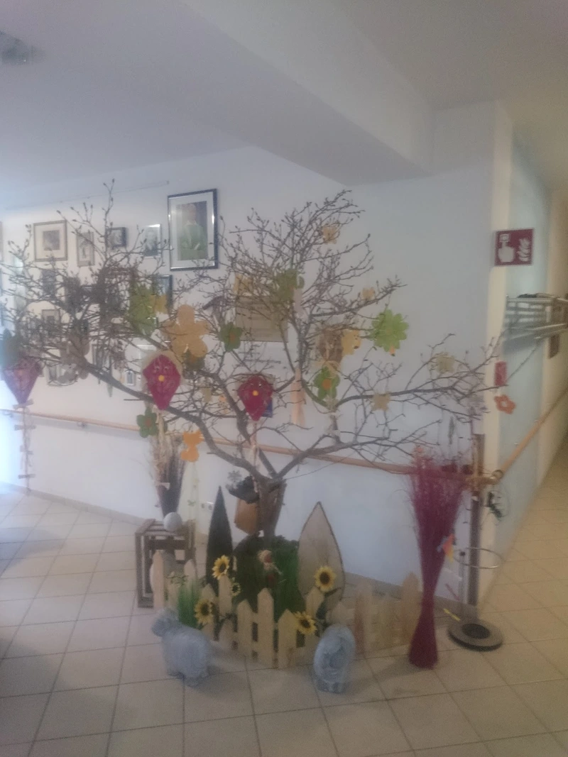 Caritas-Sozialstation Hallstadt – Bild 5