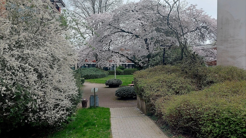 DRK Seniorenheim Barrien – Bild 3