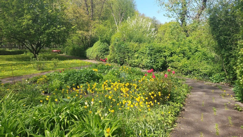 DRK Seniorenheim Barrien – Bild 5