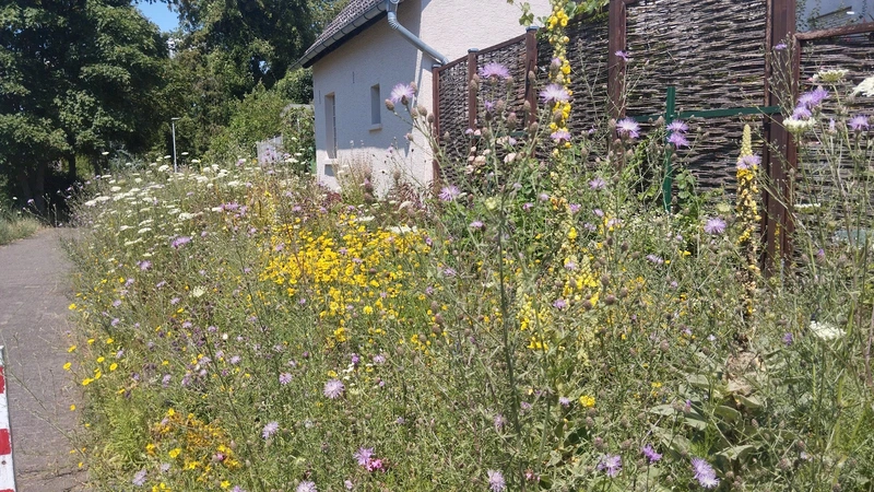 Johanniter-Unfall-Hilfe e.V. – Bild 3