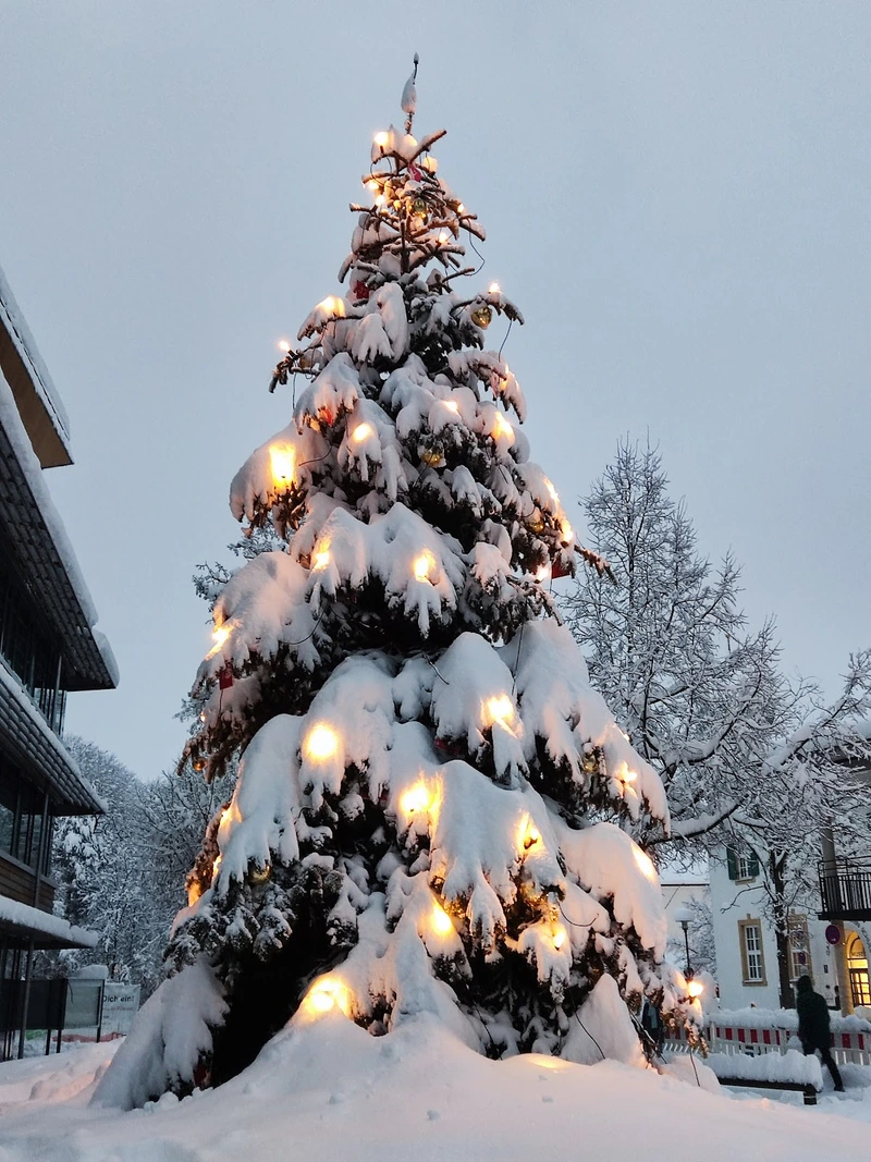 Oekumenischer Sozialdienst Groebenzell – Bild 2