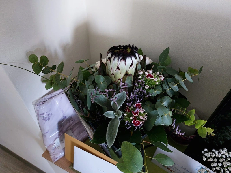 Alten- und Pflegeheim St. Elisabeth – Bild 2