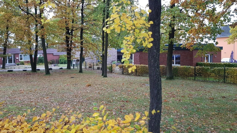 Tagespflege Melanchthonhaus – Bild 3