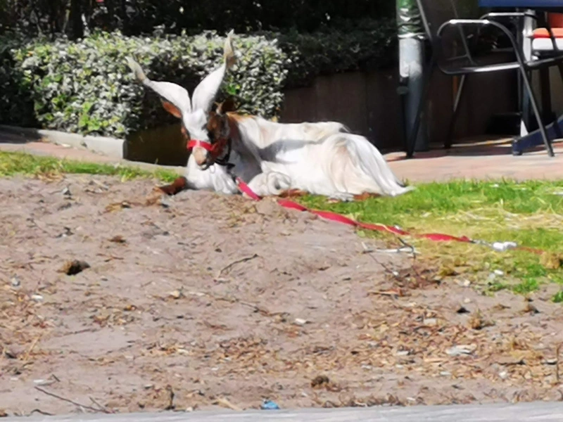 Seniorenzentrum Schriebers Hof – Bild 4