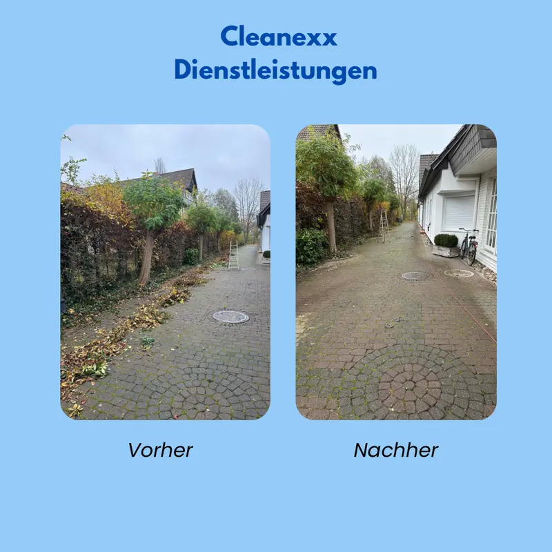 Cleanexx Dienstleistung – Bild 3
