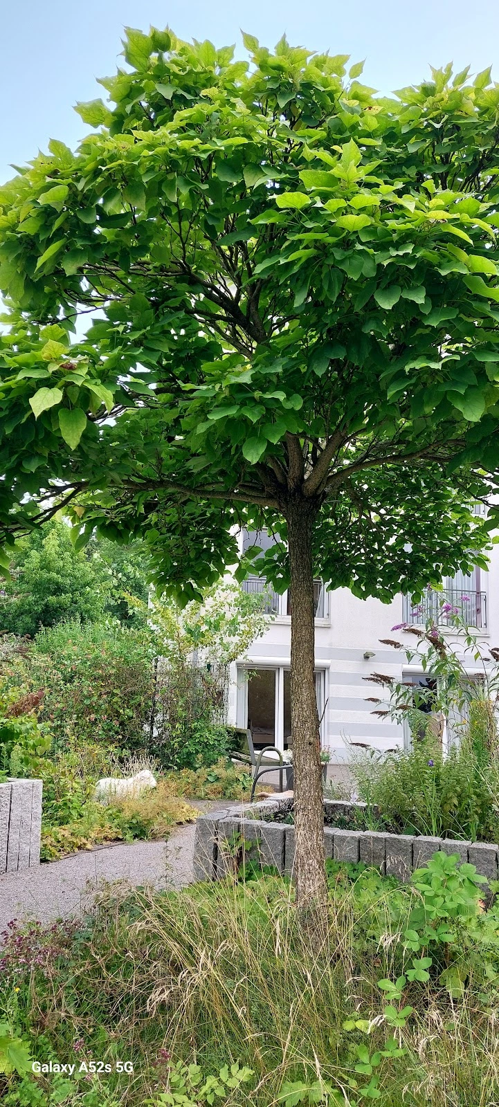 Integra Seniorenpflegezentrum Hannover-Stöcken GmbH – Bild 5