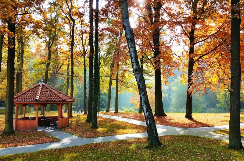 Heidehaus – Bild 5