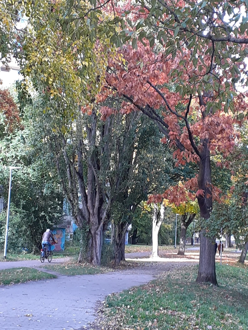 AWO Seniorenzentrum Ihme-Ufer – Bild 4