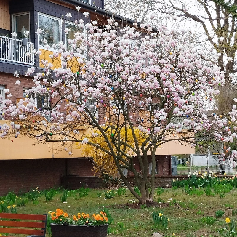 Senioren-Domizil Haus Eichenhof GmbH – Bild 1