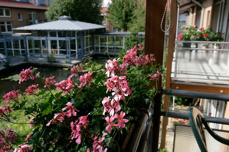 Sozialkonzept Seniorenpflegeheim "Im Rosenpark" – Bild 2
