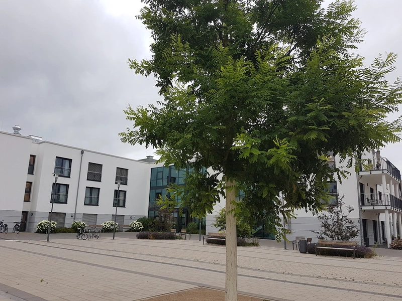 Tagespflege Arnum – Bild 3