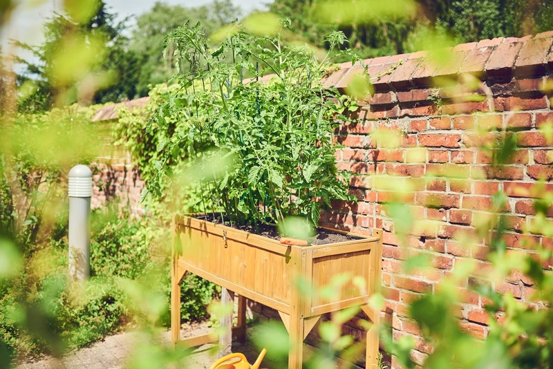 Senioren-Zentrum "An den Grachten" – Bild 4