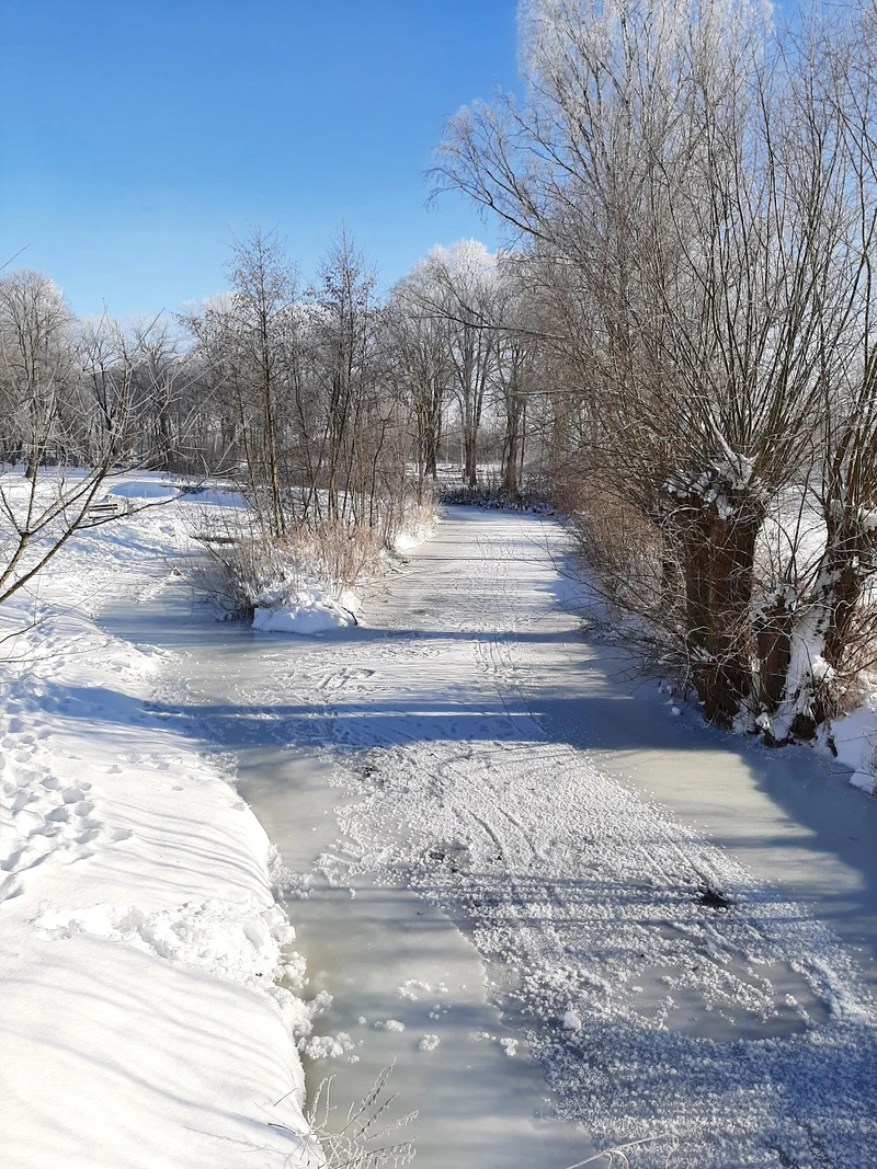 Senioren-Stift Elze – Bild 2