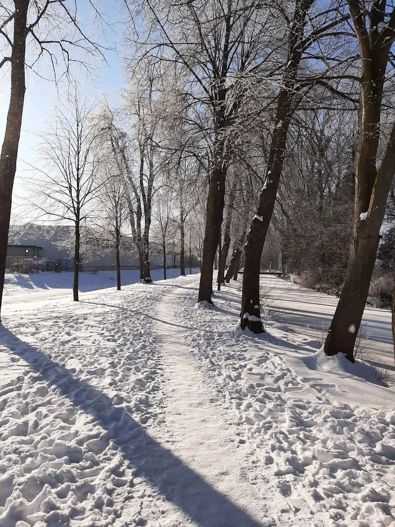 Senioren-Stift Elze – Bild 3