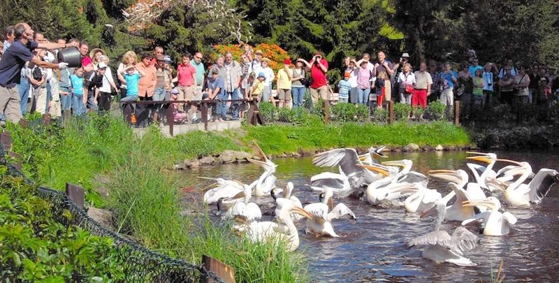 Senioren- und Pflegeheim "Am Markt" – Bild 4
