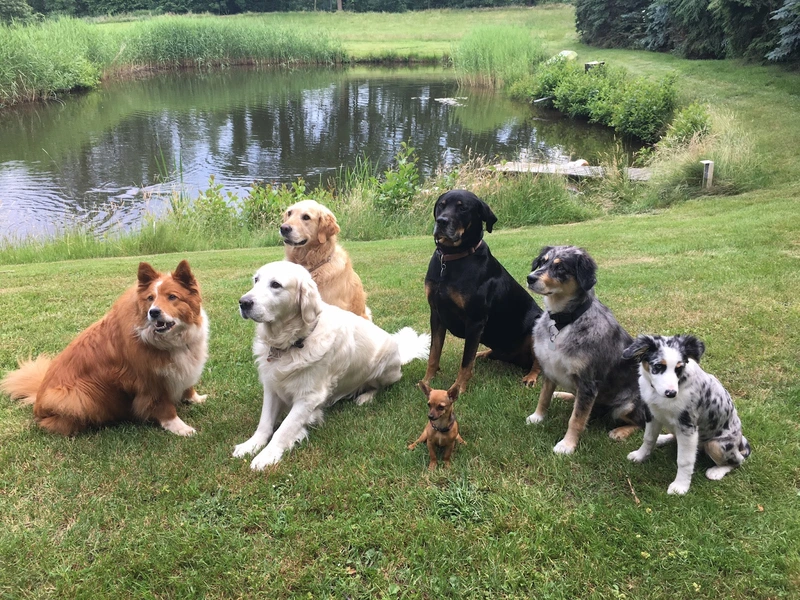 Antje`s Seniorenheim Haus an der Sonne – Bild 5