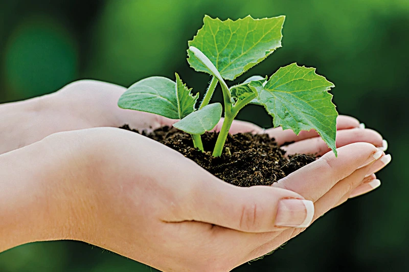 Haus am Bürgerpark – Bild 5