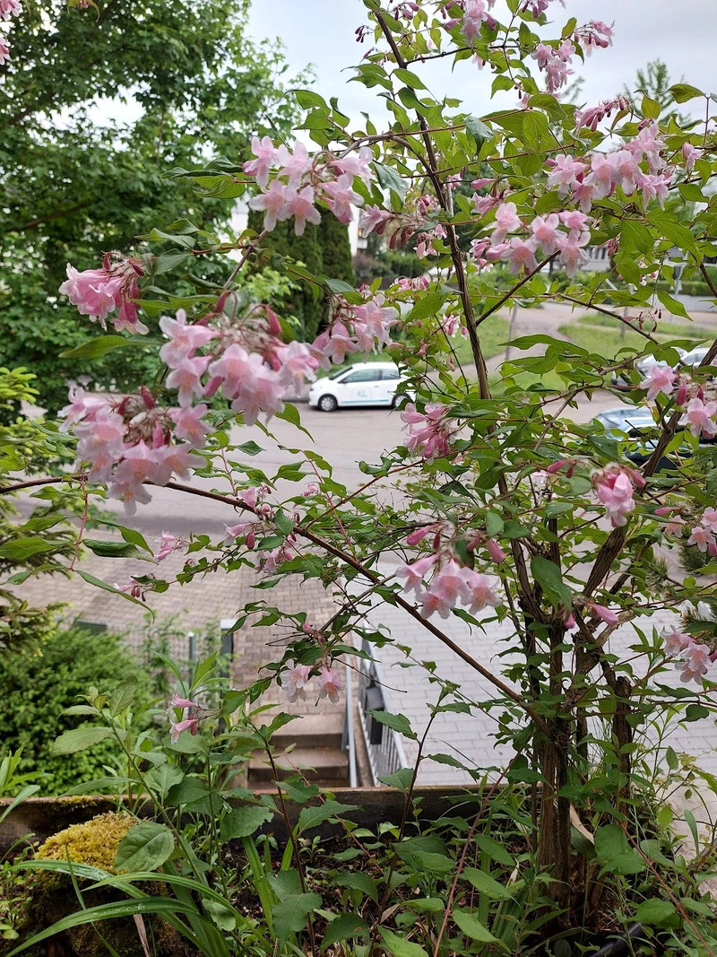 ambulanter Pflegedienst Annett – Bild 5