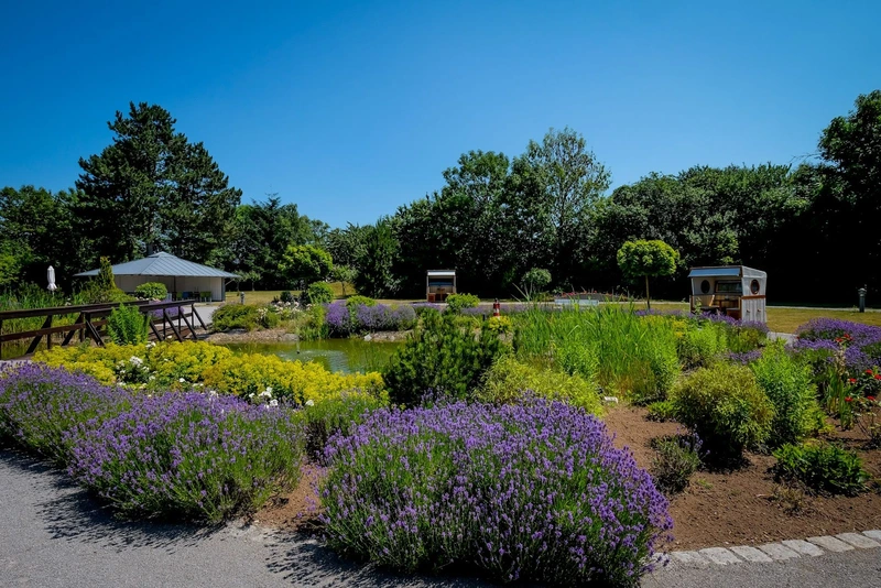 Stiemerling Ambulanter Pflegedienst Königslutter – Bild 4