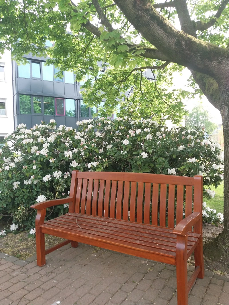 Cura Zentrum Uchte – Bild 4