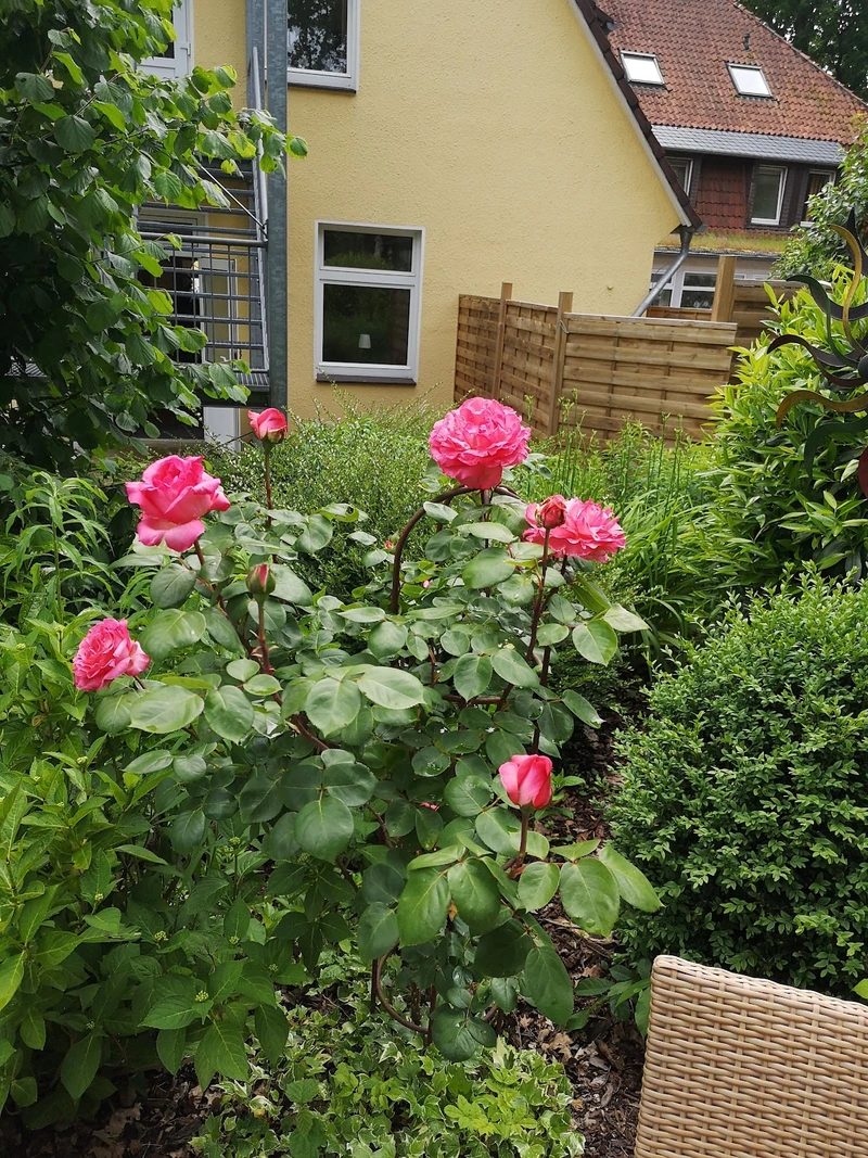 Seniorenresidenz Am Obernberg – Bild 4