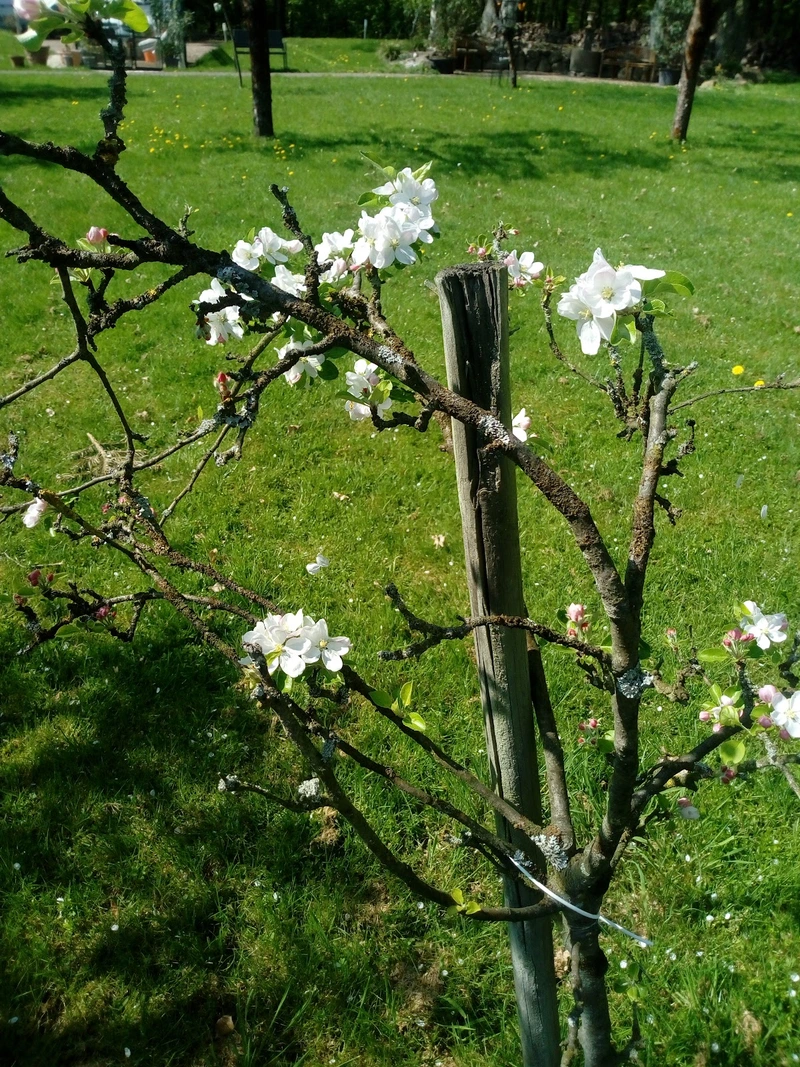 Seniorenresidenz Am Obernberg – Bild 5