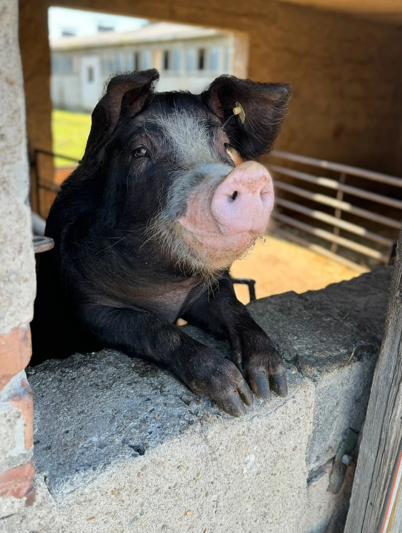 Seniorenquartier Lübbecke GmbH – Bild 2