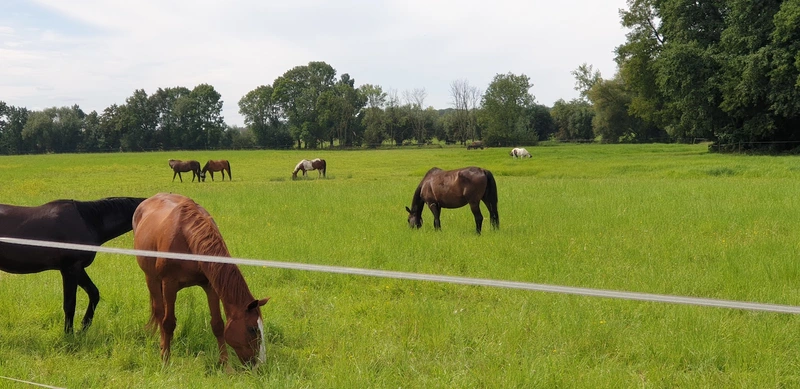 Seniorenquartier Lübbecke GmbH – Bild 3