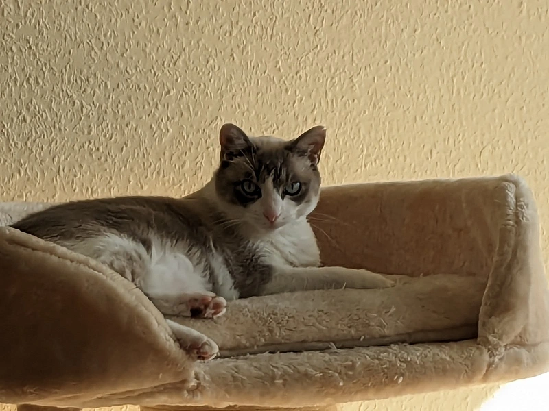 Ambulanter Pflegedienst Harmonie – Bild 5