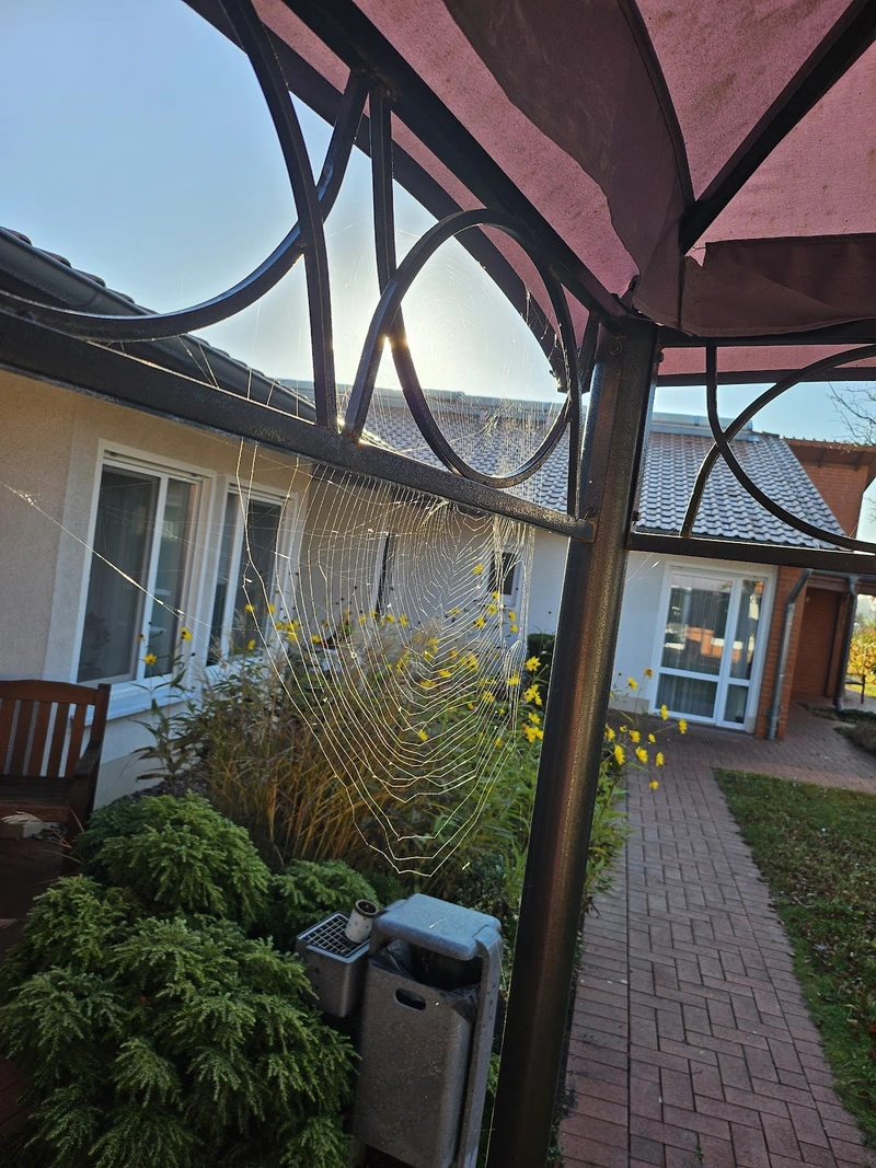 Ev. Altenpflegeheim Hille – Bild 1