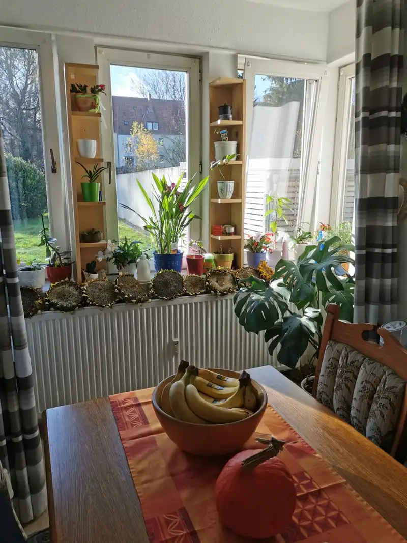 Haushaltshilfe und Betreuung in Lippe – Bild 2