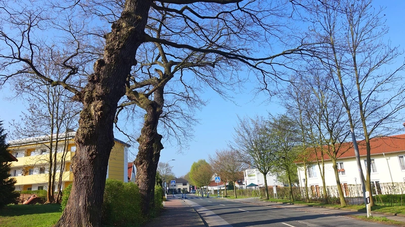 Stift Eidingsen – Bild 3